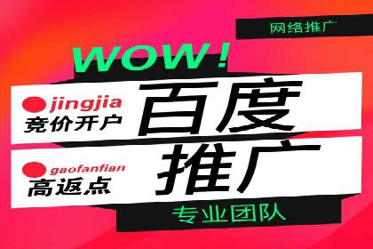 成功案例：如何用百度SEM提升品牌知名度