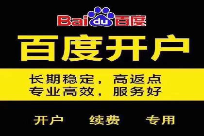 行业领先企业的SEM开户成功案例